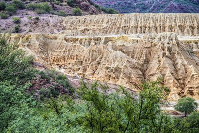 Scenic view of tree mountains