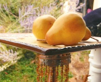 Close-up of plant against blurred background