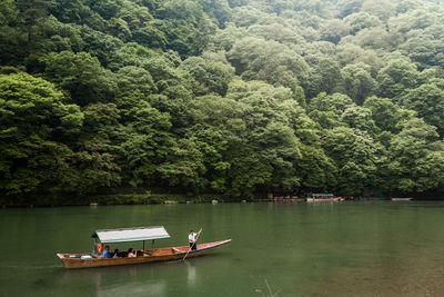 Scenic view of river amidst trees in forest