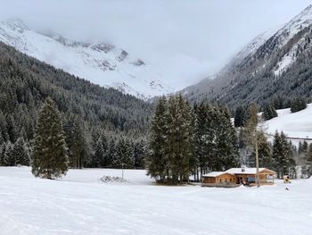 Trees and houses on snowcapped mountains against sky