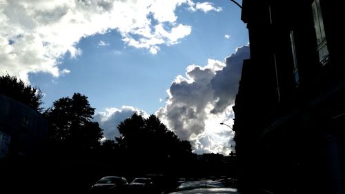 Low angle view of trees against sky