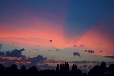 Silhouette of trees at sunset