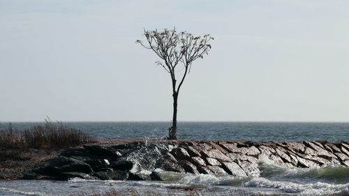 Scenic view of sea against clear sky