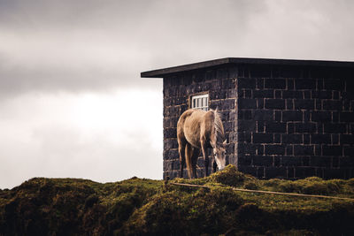 Low angle view of a building