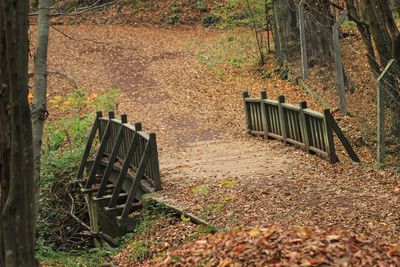 Old abandoned barn on field during autumn