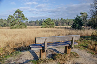 Picturesque landscape with grassland, forest and scattered trees and a wooden bench overlooking it.
