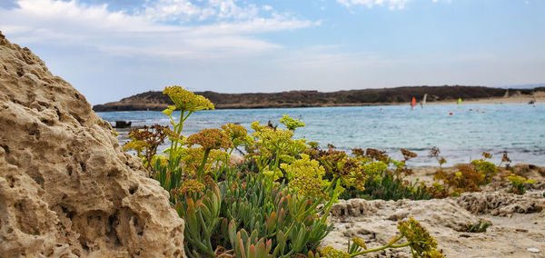 Scenic view of rocks on beach against sky