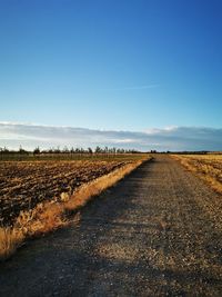 Scenic view of field against blue sky