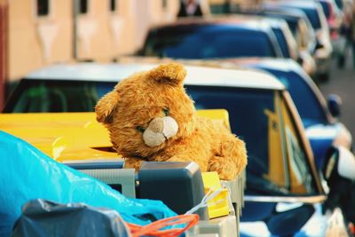 Stuffed teddy bear on car
