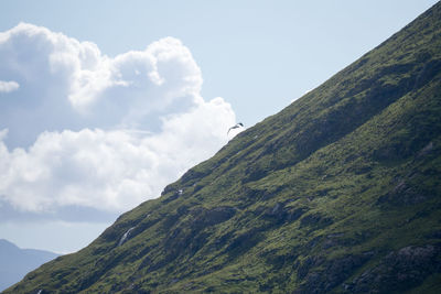 Low angle view of mountain against sky