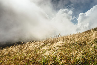 Scenic view of field against cloudy sky