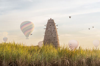 High conical nesting pigeon tower with many holes located on grassy field with air balloons in egypt on summer day