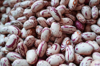 Uncooked red beans, mediterranean food