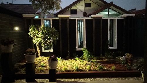 Rear view of potted plants outside house in yard