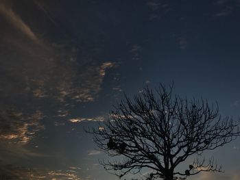 Low angle view of silhouette tree against sky at night