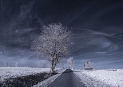 View of trees on field against sky during winter