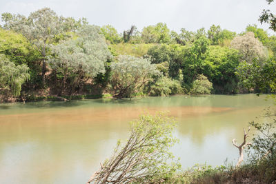 Scenic view of lake in forest against sky