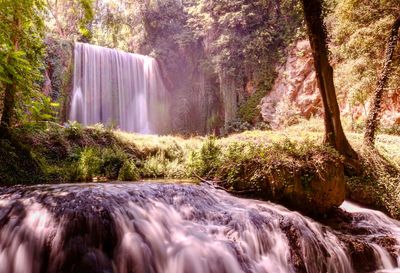 Scenic view of waterfall in forest