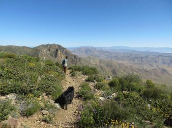 Rear view of woman standing on mountain against clear blue sky