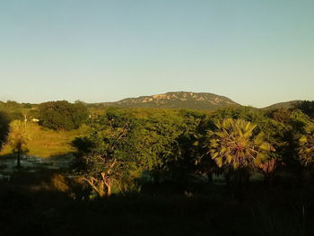 Scenic view of landscape against clear sky