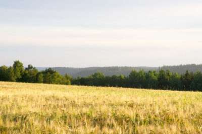 Scenic view of field against cloudy sky