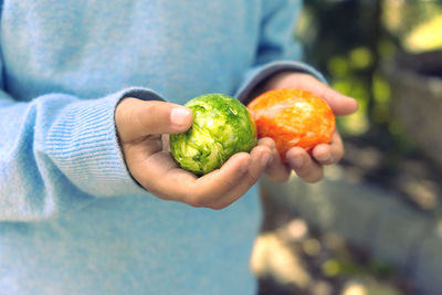 Close-up of hand holding fruits