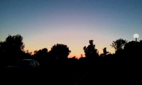 Silhouette of trees at sunset