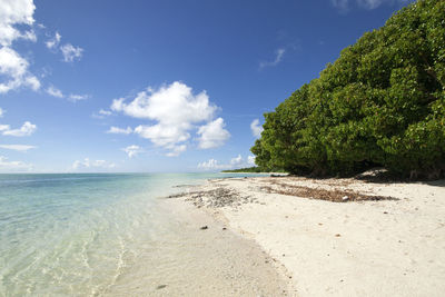 Scenic view of beach against sky