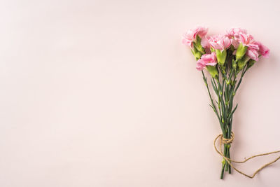Close-up of pink flower vase against white background