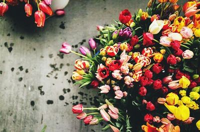 Close-up of colorful flowers