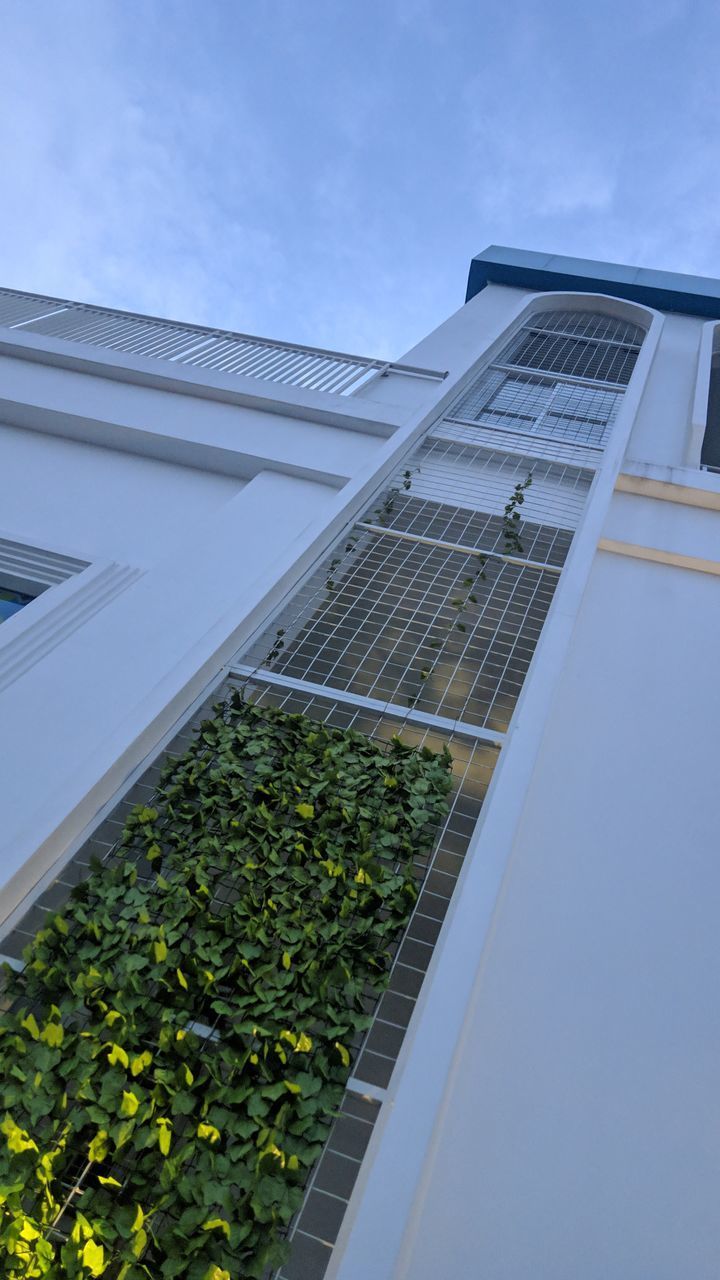 LOW ANGLE VIEW OF POTTED PLANTS ON BUILDING