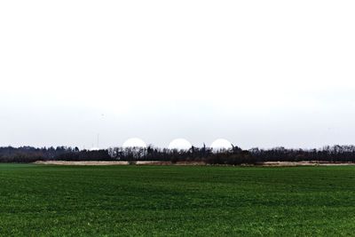 Scenic view of field against clear sky