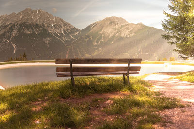 Empty bench by plants against sky