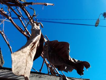 Low angle view of statue against clear blue sky