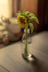 Close-up of yellow flower in vase on table