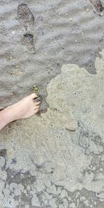 Low section of woman on sand at beach