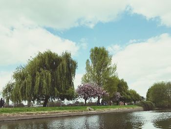 Low angle view of trees against sky