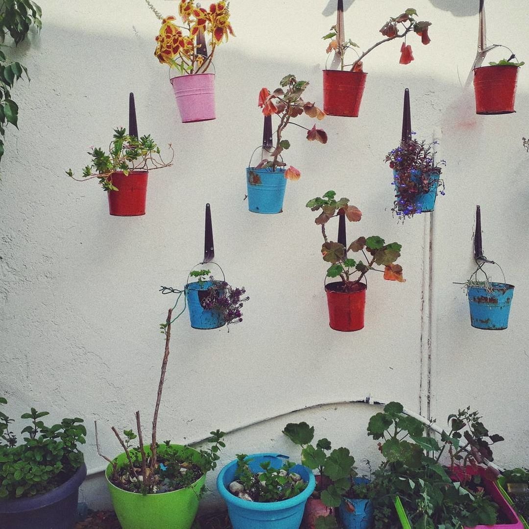 POTTED PLANTS HANGING FROM WALL