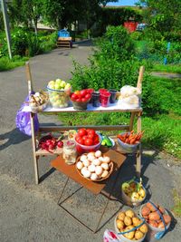 Variety of fruits for sale