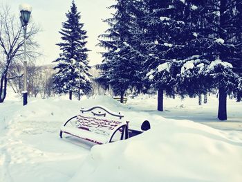 Bare trees on snow covered field