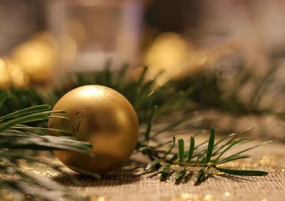 Close-up of christmas bauble and twigs on table