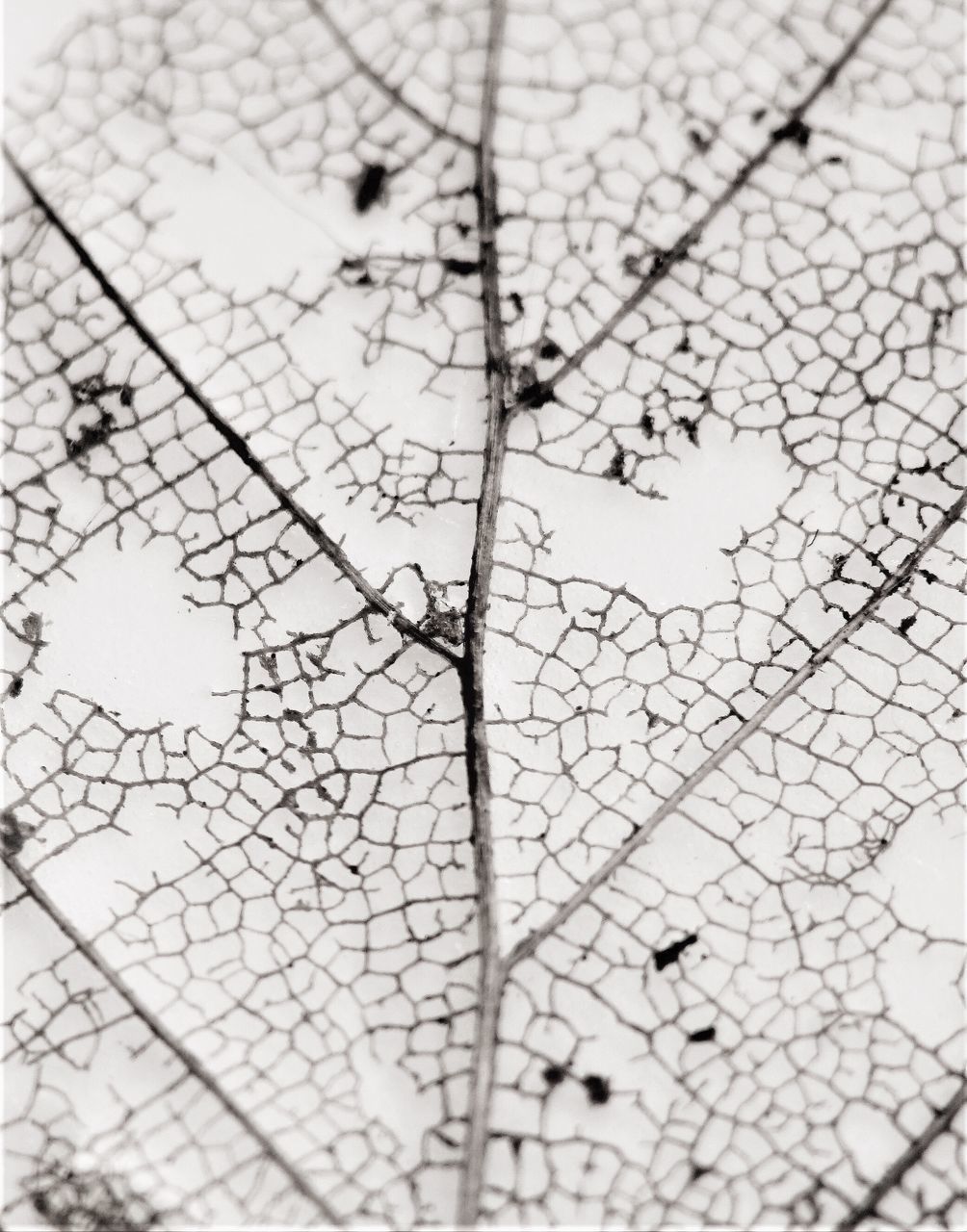 FULL FRAME SHOT OF CRACKED LAND