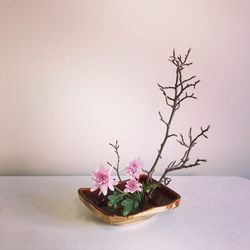 Close-up of potted plant on table against wall