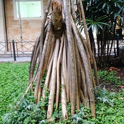 Close-up of wooden planks