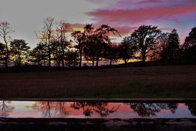 Silhouette trees by lake against sky during sunset