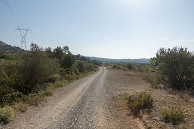 Dirt road amidst trees against sky