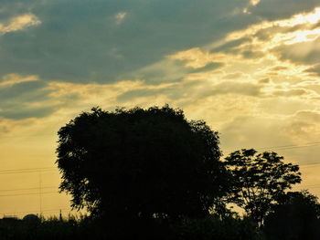 Silhouette tree against sky during sunset