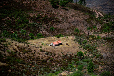 High angle view of horse cart on land