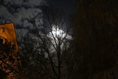 Low angle view of bare trees against sky