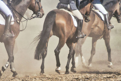 Group of people riding horses on dusty field at fuchsjagd, lüneburger heide 